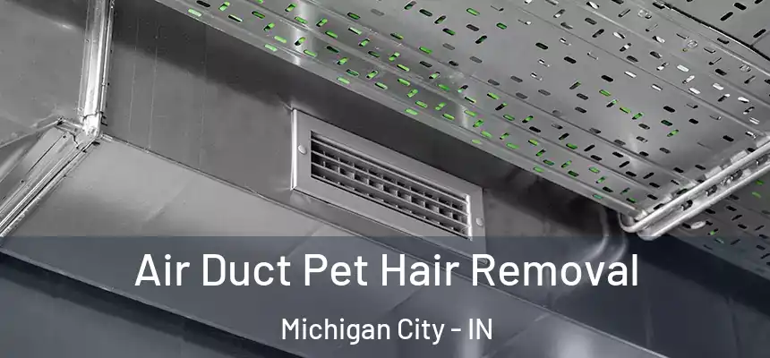 Air Duct Pet Hair Removal Michigan City - IN