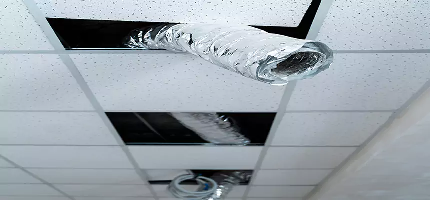 Our Air Duct Pet Hair Removal Services in Michigan City, IN