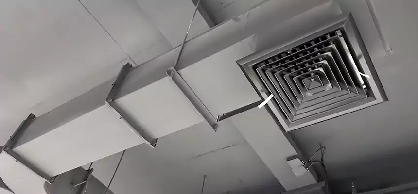 Restorative Allergy Relief Vent Cleaning – Coil, Blower & Housing Detail in Michigan City