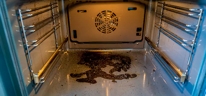 Our Dryer Vent Mold Cleaning Services in Michigan City, IN