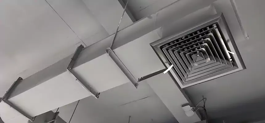 Our Pest Removal From Ducts Services in Michigan City, IN