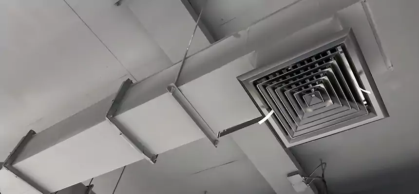 Our Rodent Droppings In Vents Services in Michigan City, IN