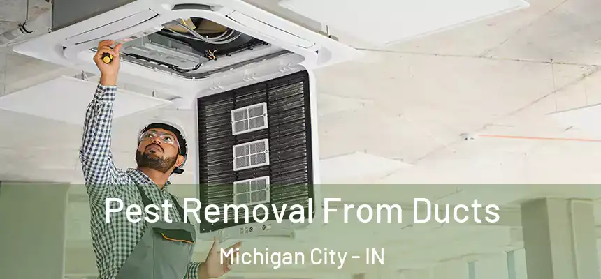 Pest Removal From Ducts Michigan City - IN