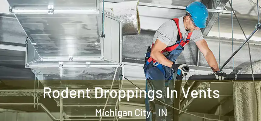  Rodent Droppings In Vents Michigan City - IN