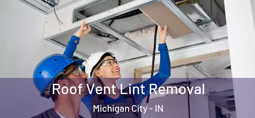 Roof Vent Lint Removal Michigan City - IN