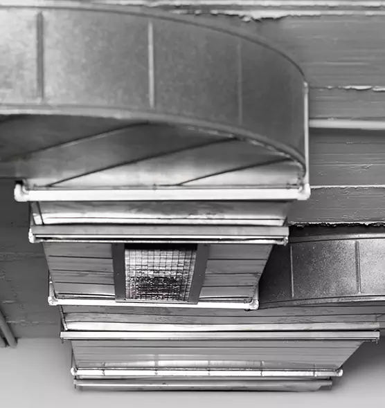 Professional Air Duct Pest Removal in Michigan City, IN